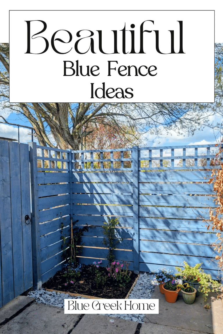 Beautiful Blue Fence Ideas
