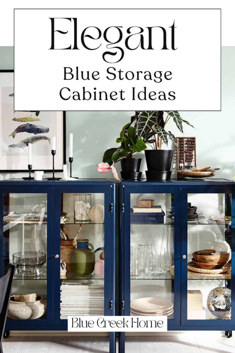 Elegant Blue Storage Cabinet Ideas