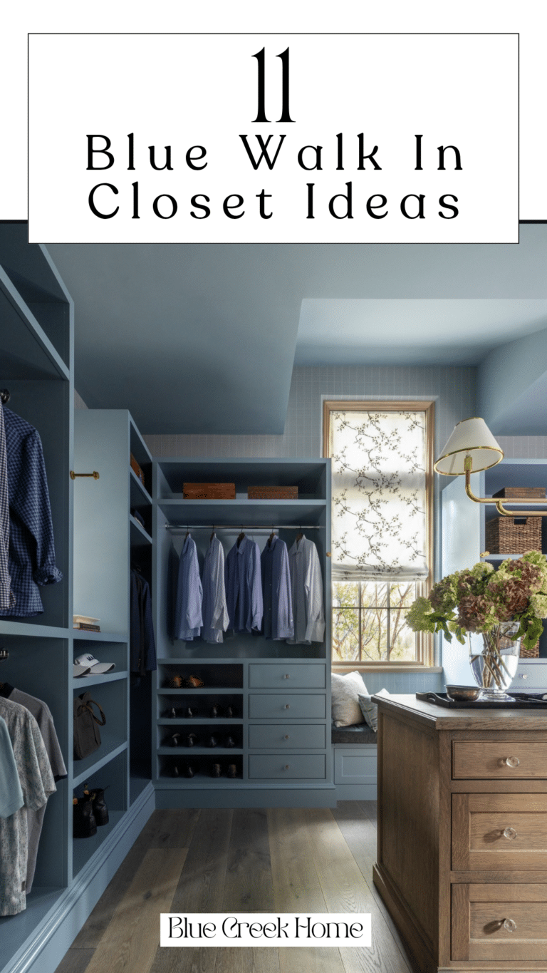 blue walk in closet