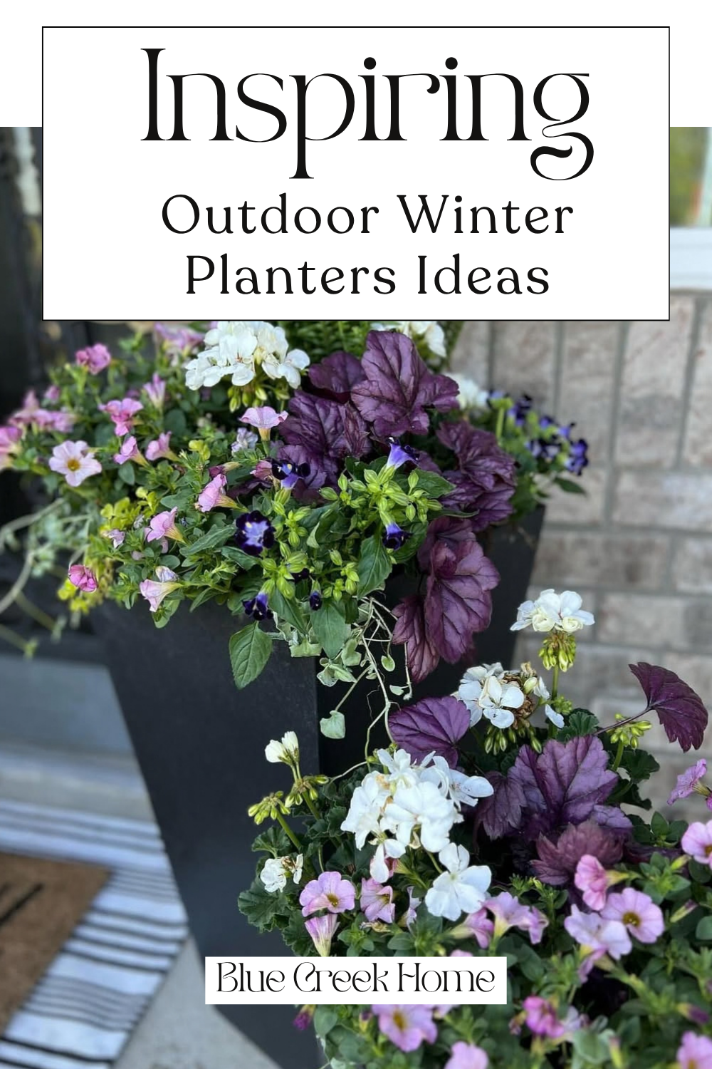 Inspiring Outdoor Winter Planters Ideas