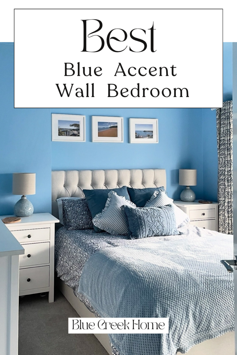 Best Blue Accent Wall Bedroom Ideas