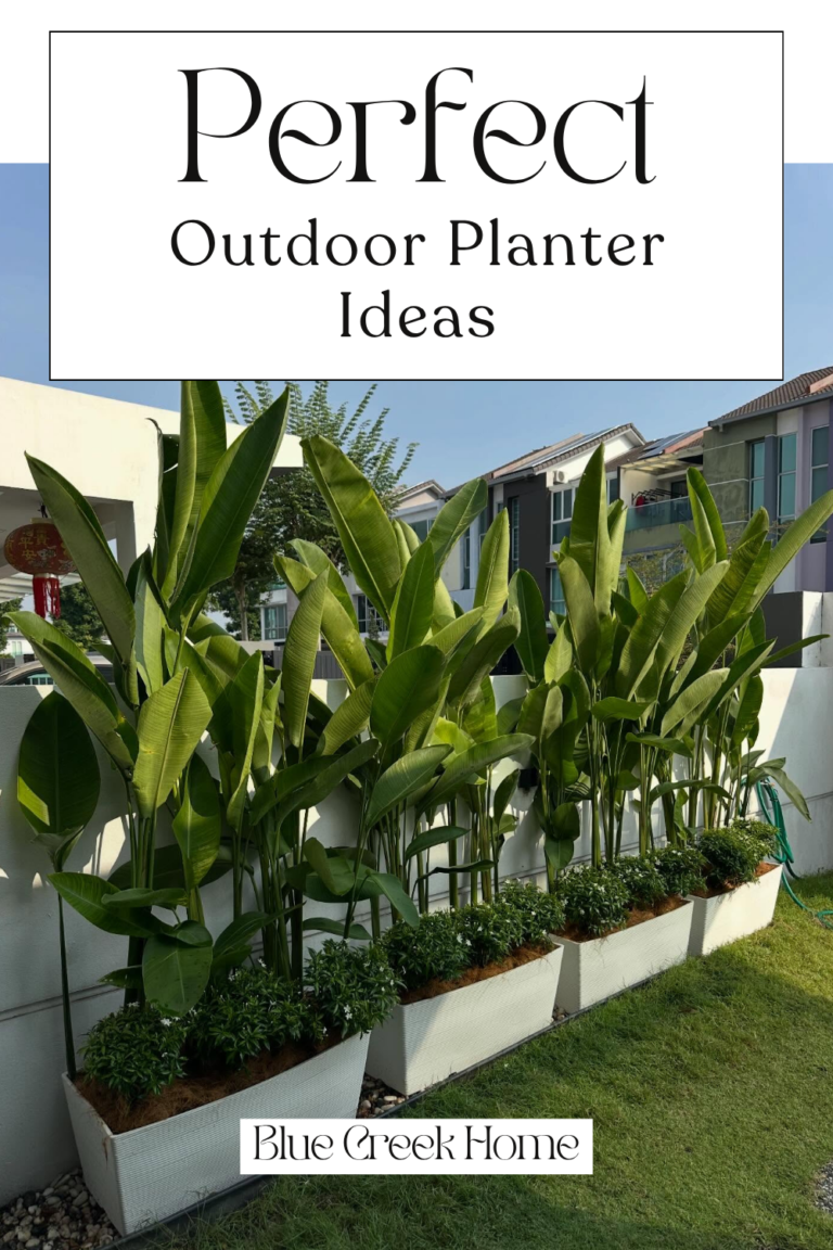 Perfect Outdoor Planter Ideas