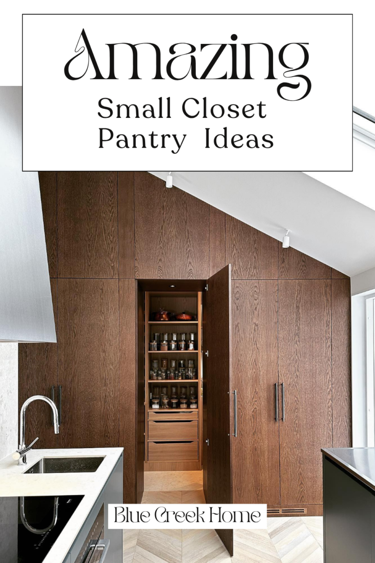 Amazing Small Closet Pantry Ideas
