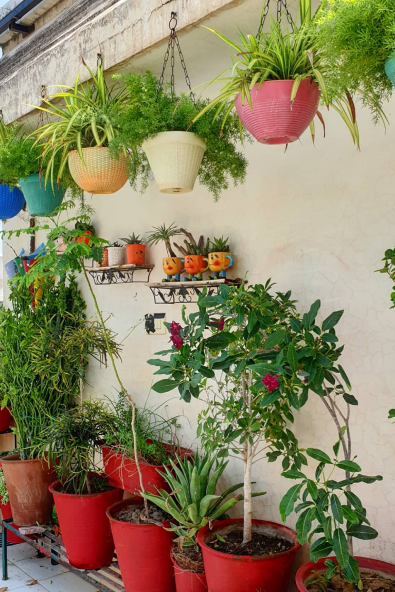 hanging wall planters