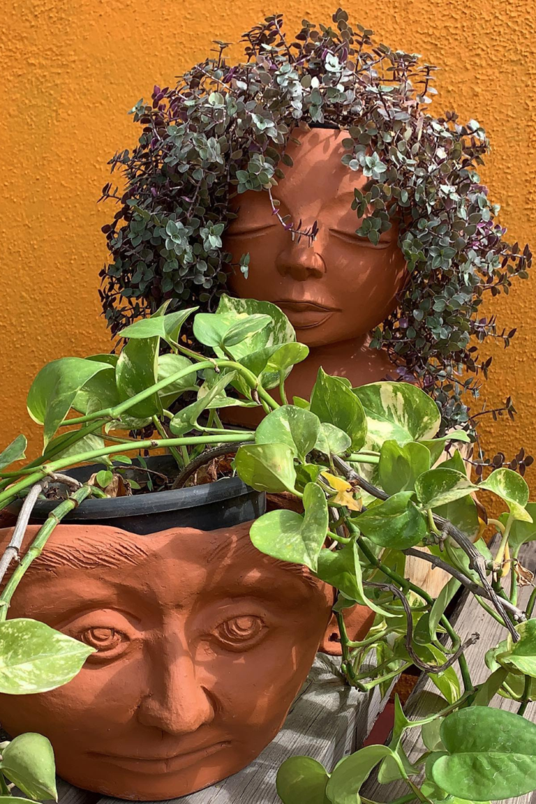 Face Pots Head Planters Ideas