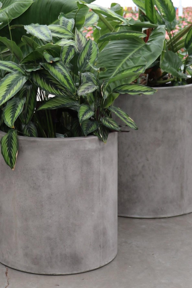 How to Fill Large Planters Pots