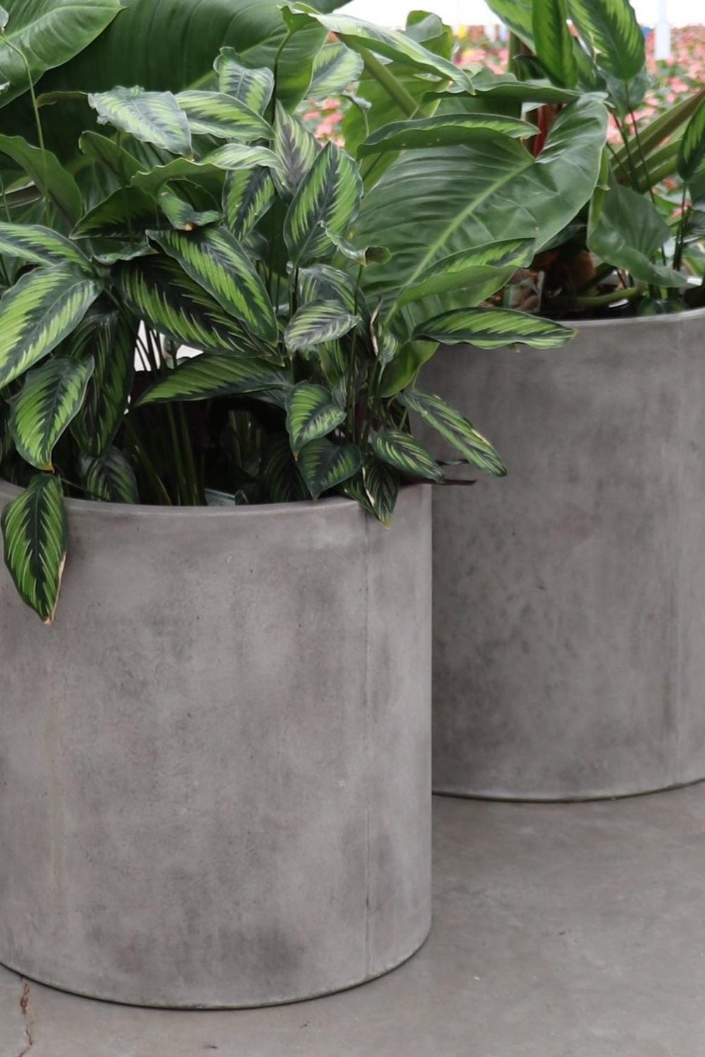 How to Fill Large Planters Pots