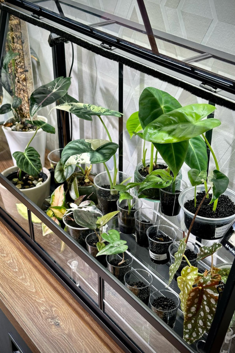 Deck Planters Ideas
